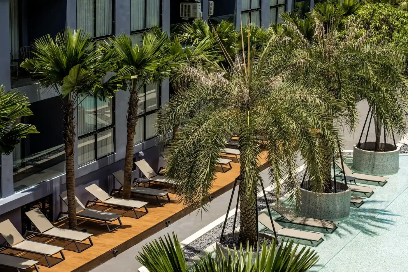 Citygate Kamala архитектура